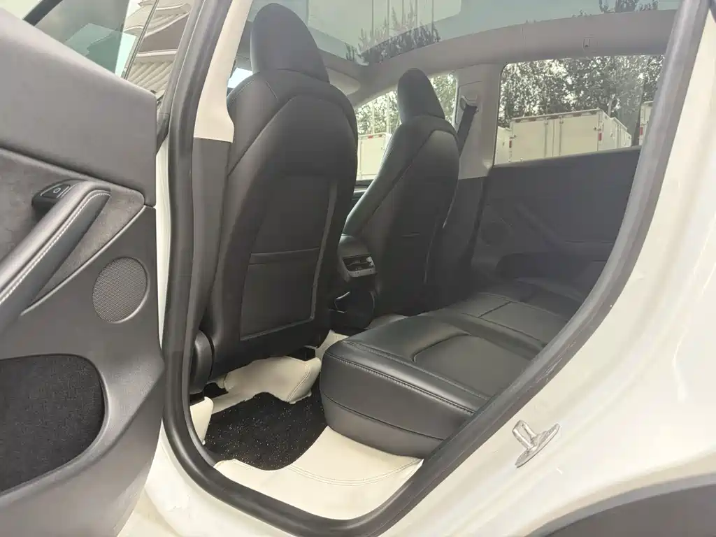 Tesla Model Y — миниатюра 9