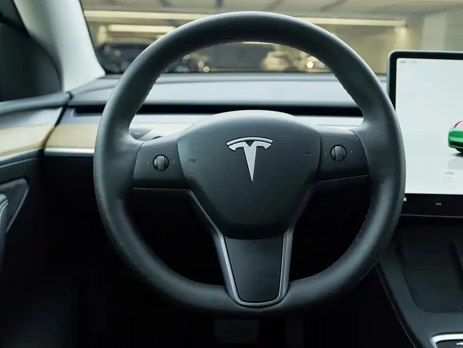 Tesla Model Y — миниатюра 16