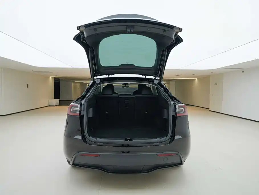 Tesla Model Y — миниатюра 5