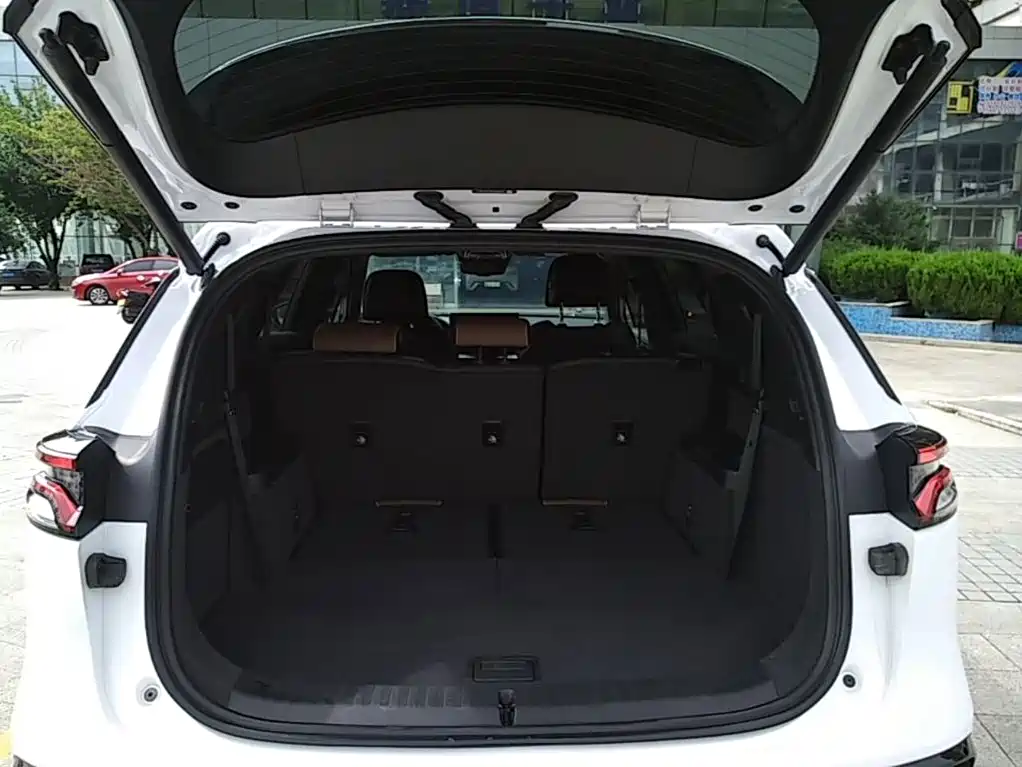 BYD Tang New Energy — миниатюра 19