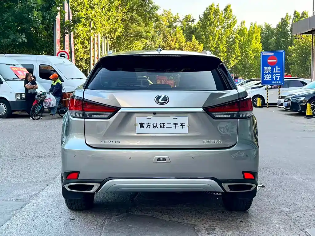 Lexus RX — миниатюра 8
