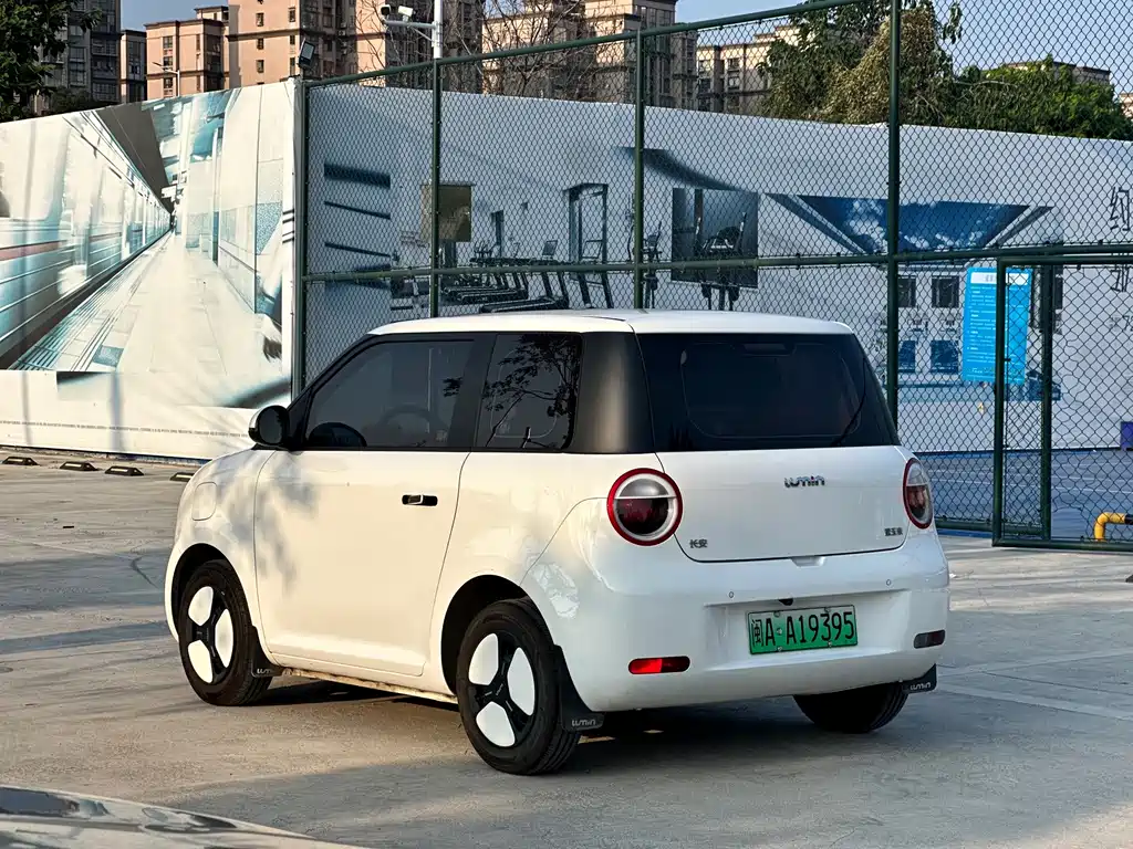 Qiyuan Lumin — миниатюра 3