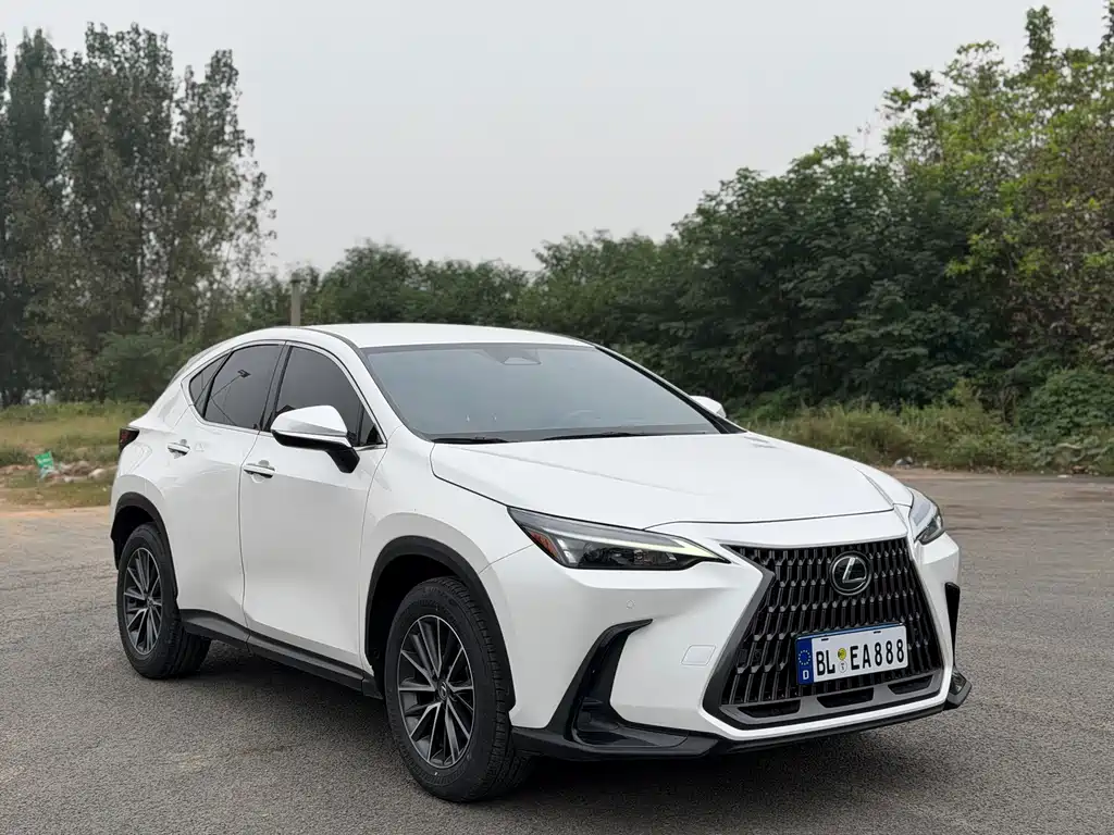 Lexus NX — миниатюра 3