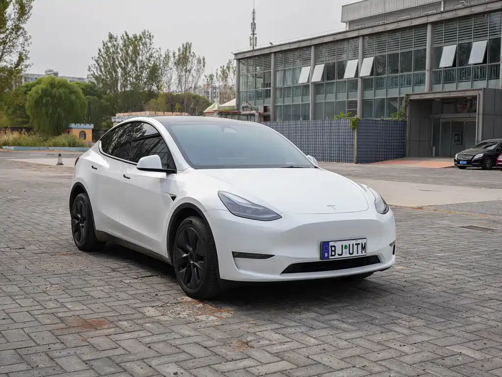 Tesla Model Y — миниатюра 3