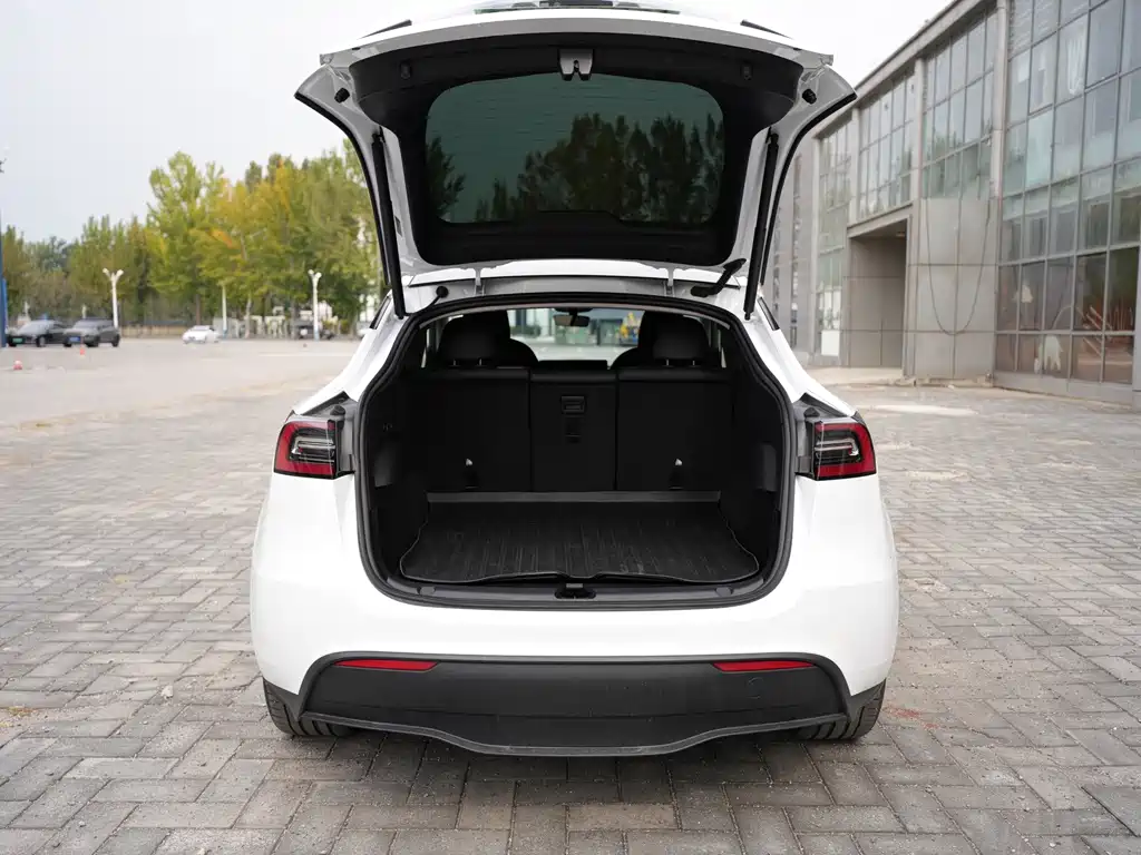 Tesla Model Y — миниатюра 9