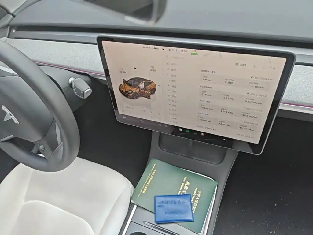 Tesla Model Y — миниатюра 13