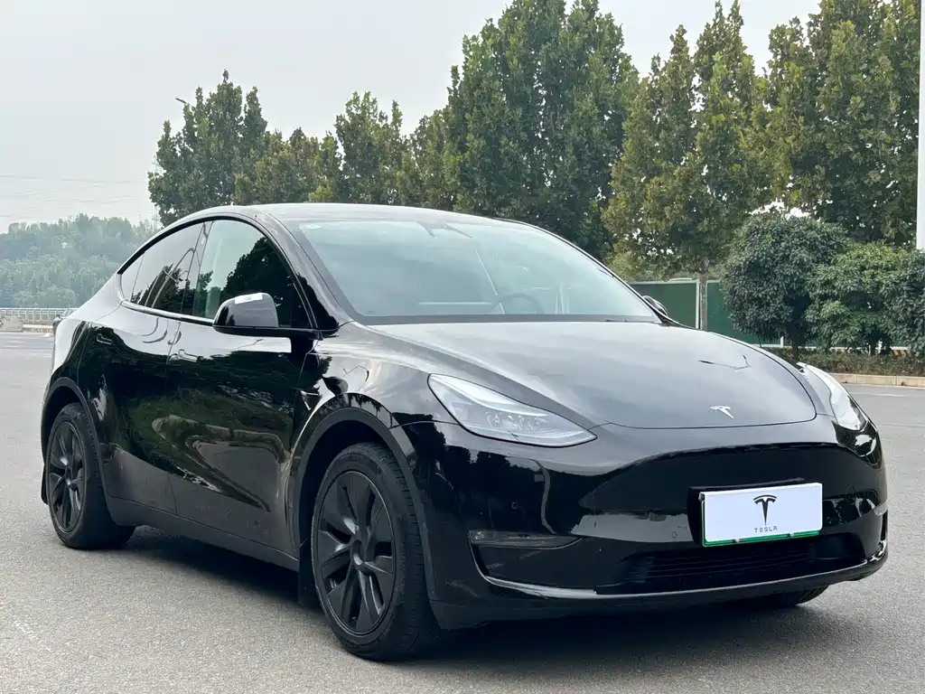 Tesla Model Y — миниатюра 3