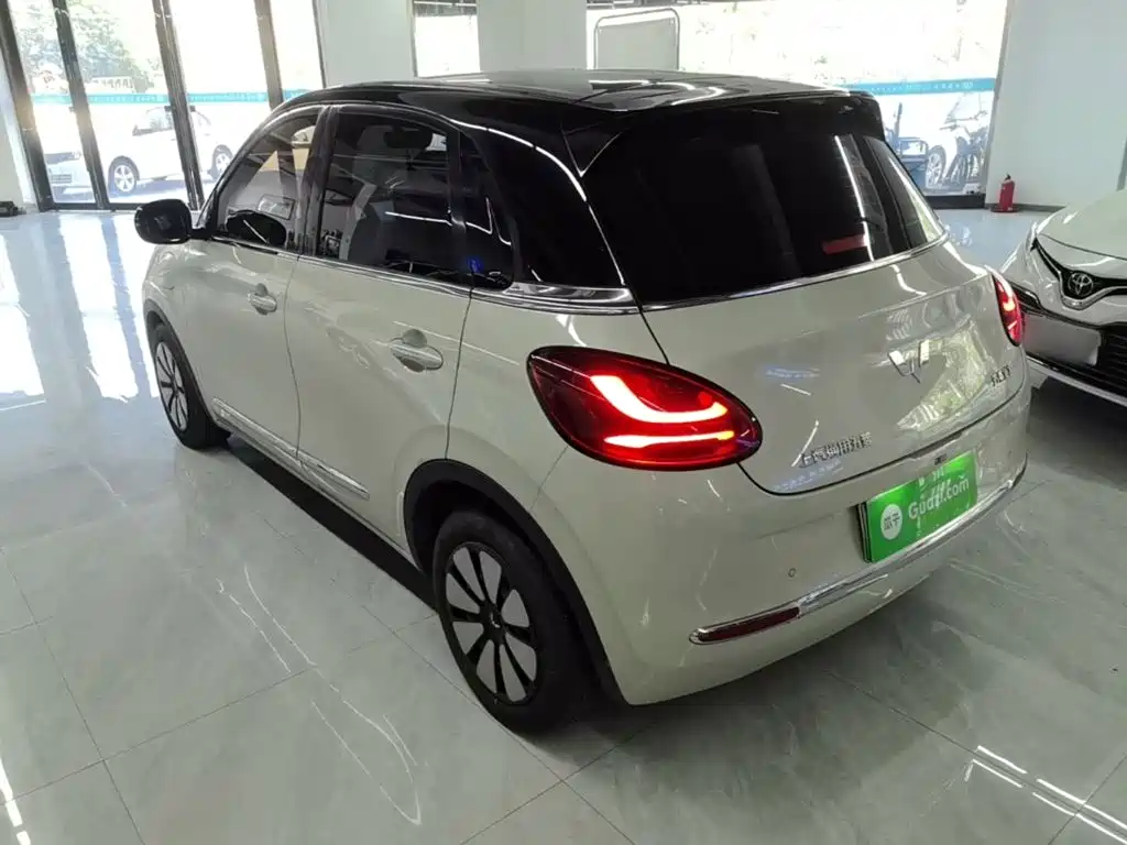 Wuling Binguo 2024 333km Enjoy