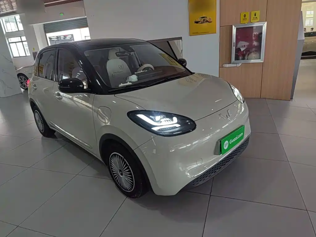 Wuling Binguo 2023 333km Enjoy +