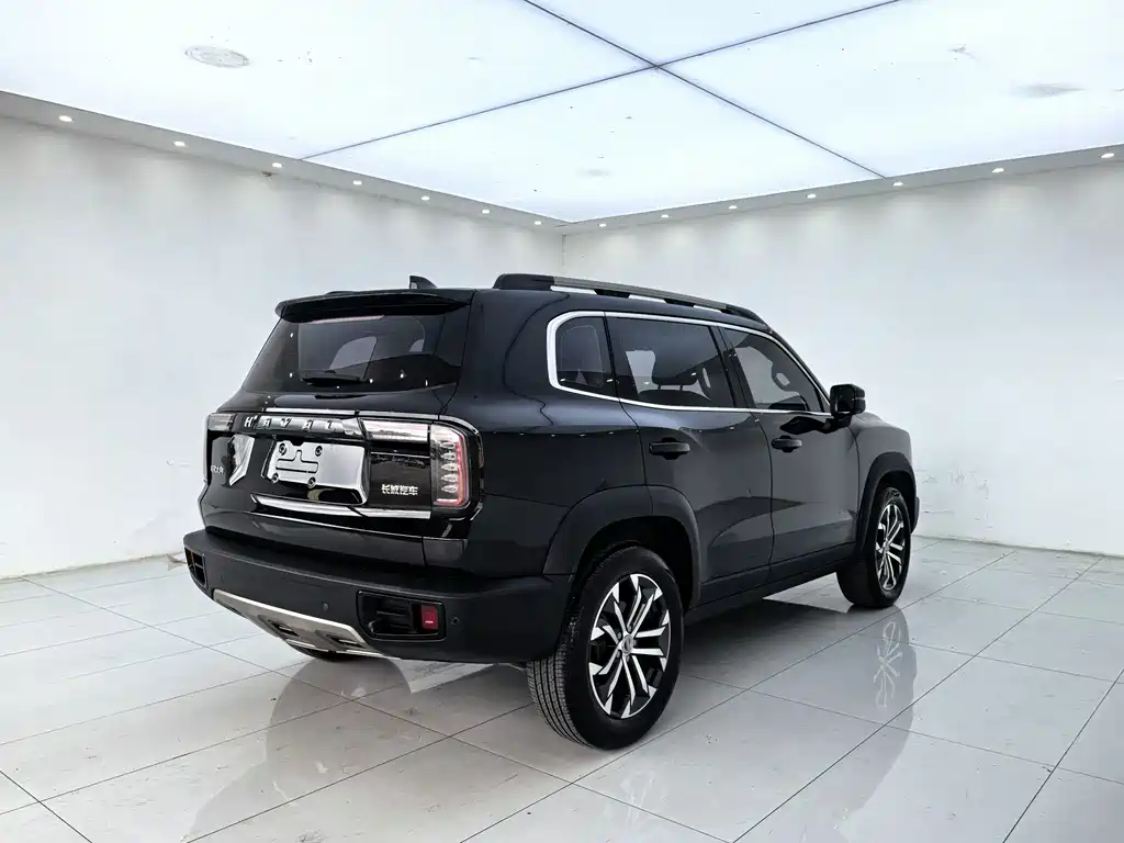 Haval Big Dog — миниатюра 12
