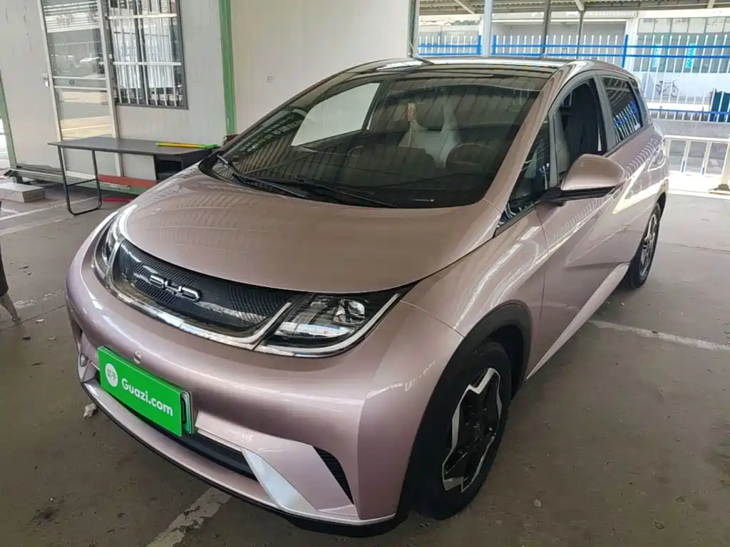 BYD Dolphin — миниатюра 2