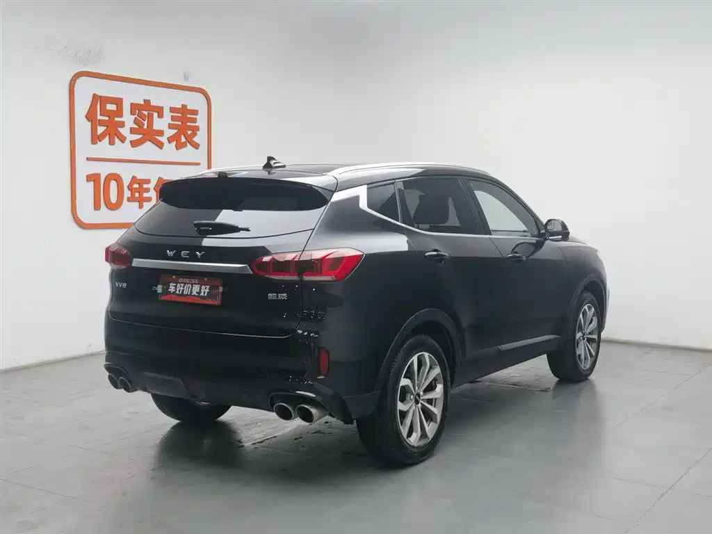 WEI PAI WEI BRAND VV6