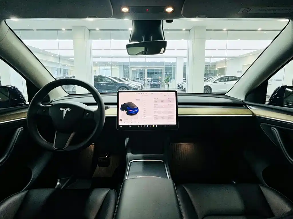 Tesla Model Y — миниатюра 7