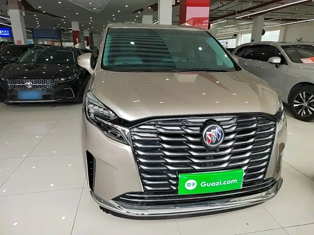Buick GL8 — миниатюра 3