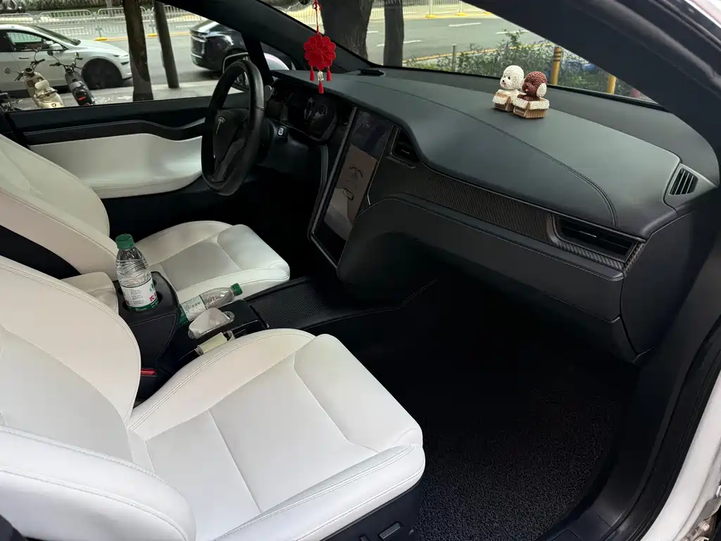 Tesla Model X — миниатюра 12