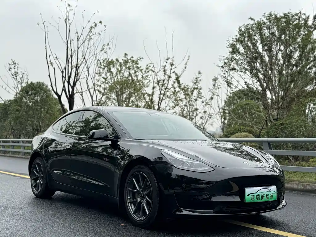 Tesla Model 3 — миниатюра 2