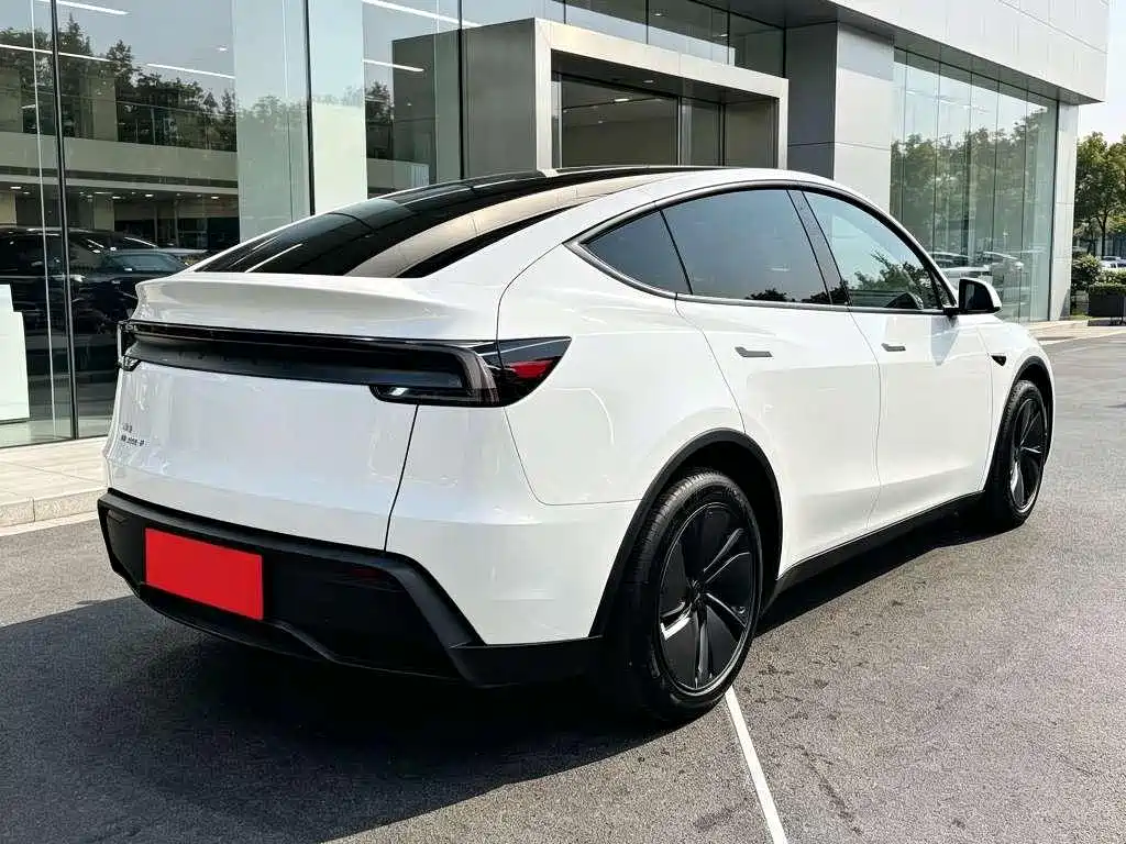 Tesla Model Y — миниатюра 7