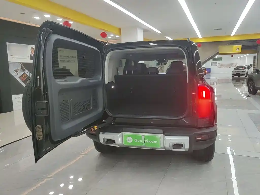 Fang Cheng Bao Leopard 5 — миниатюра 19