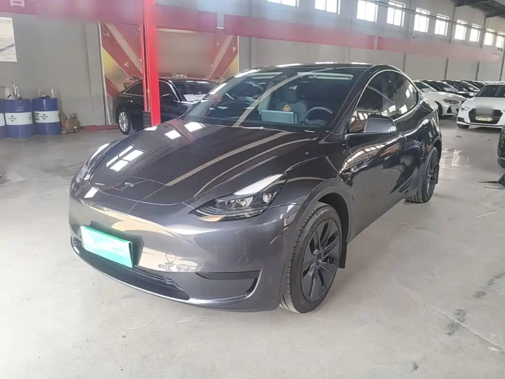Tesla Model Y — миниатюра 2