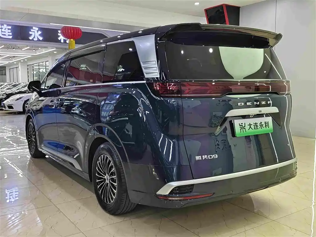 Denza Denza D9 — миниатюра 16