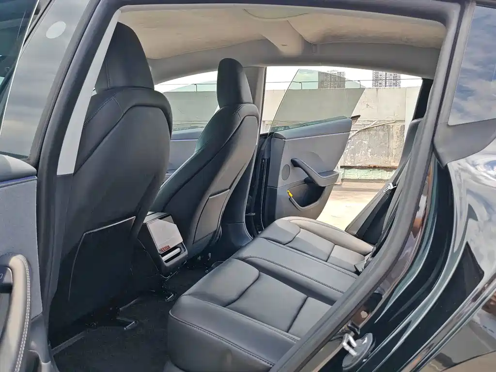 Tesla Model 3 — миниатюра 9