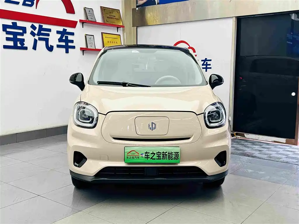 Leapmotor T03 2023 310