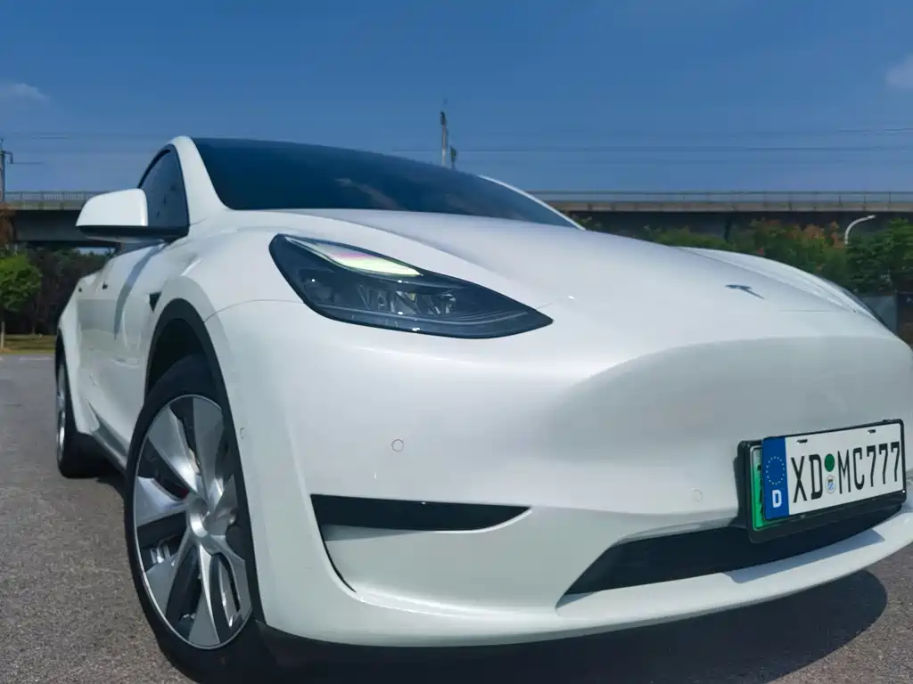 Tesla Model Y — миниатюра 11