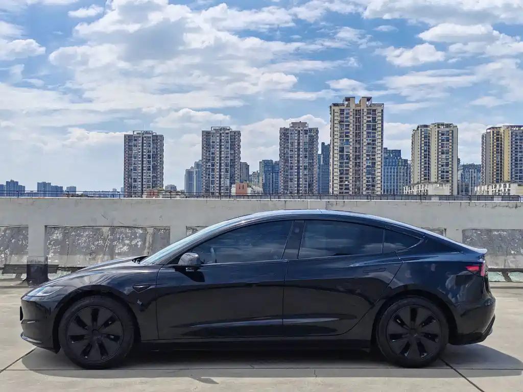 Tesla Model 3 — миниатюра 4