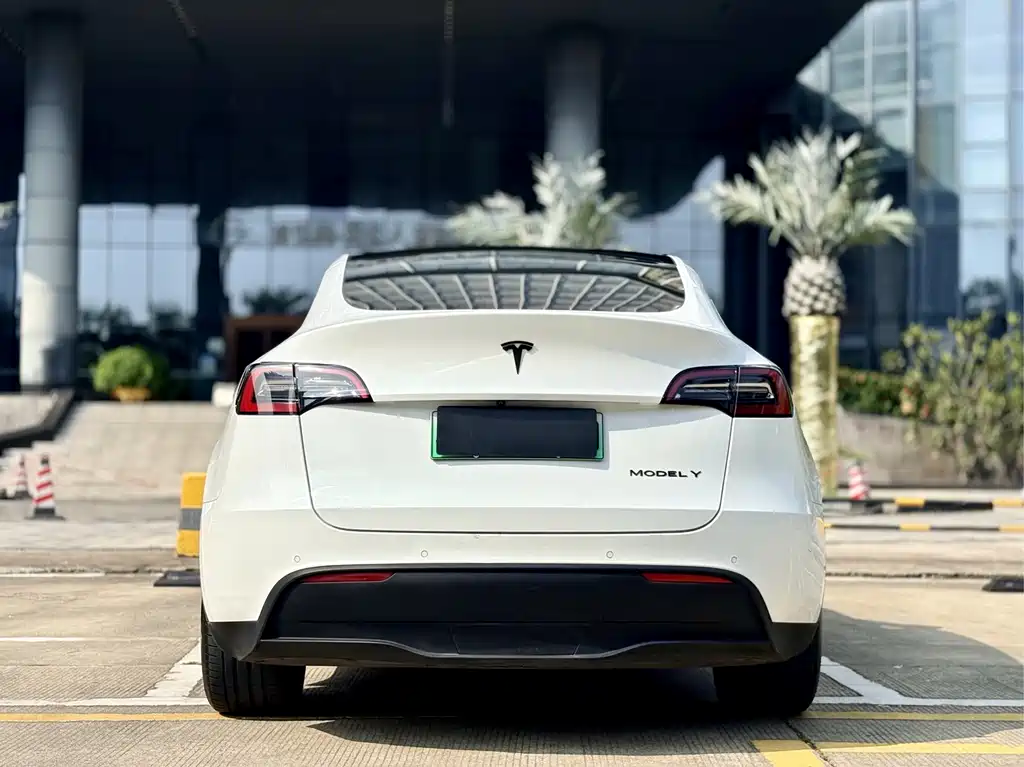 Tesla Model Y — миниатюра 15