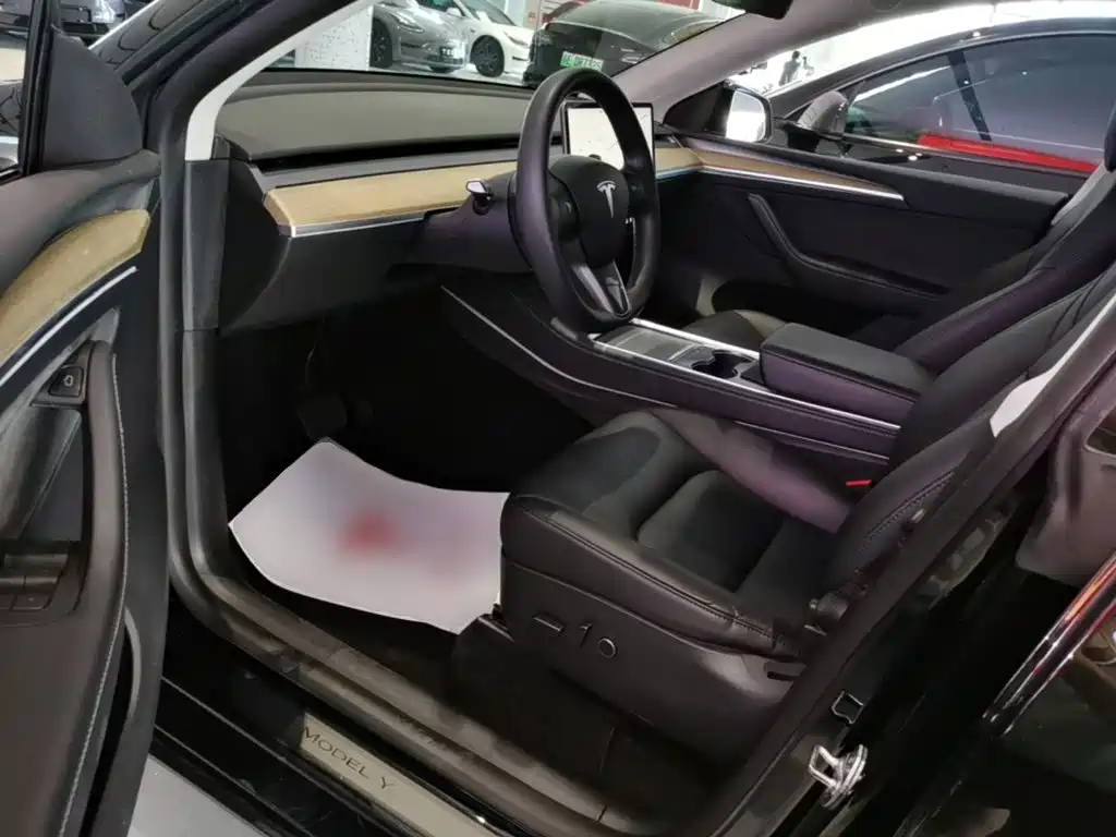 Tesla Model Y — миниатюра 15