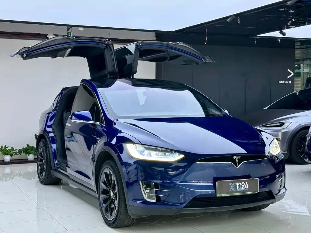 Tesla Model X — миниатюра 3