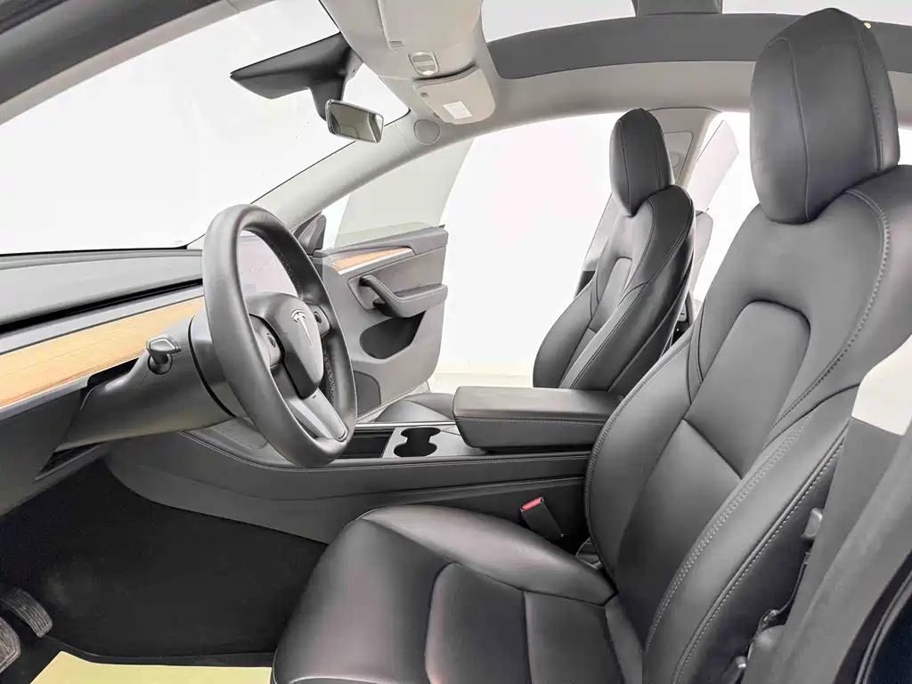 Tesla Model Y — миниатюра 7