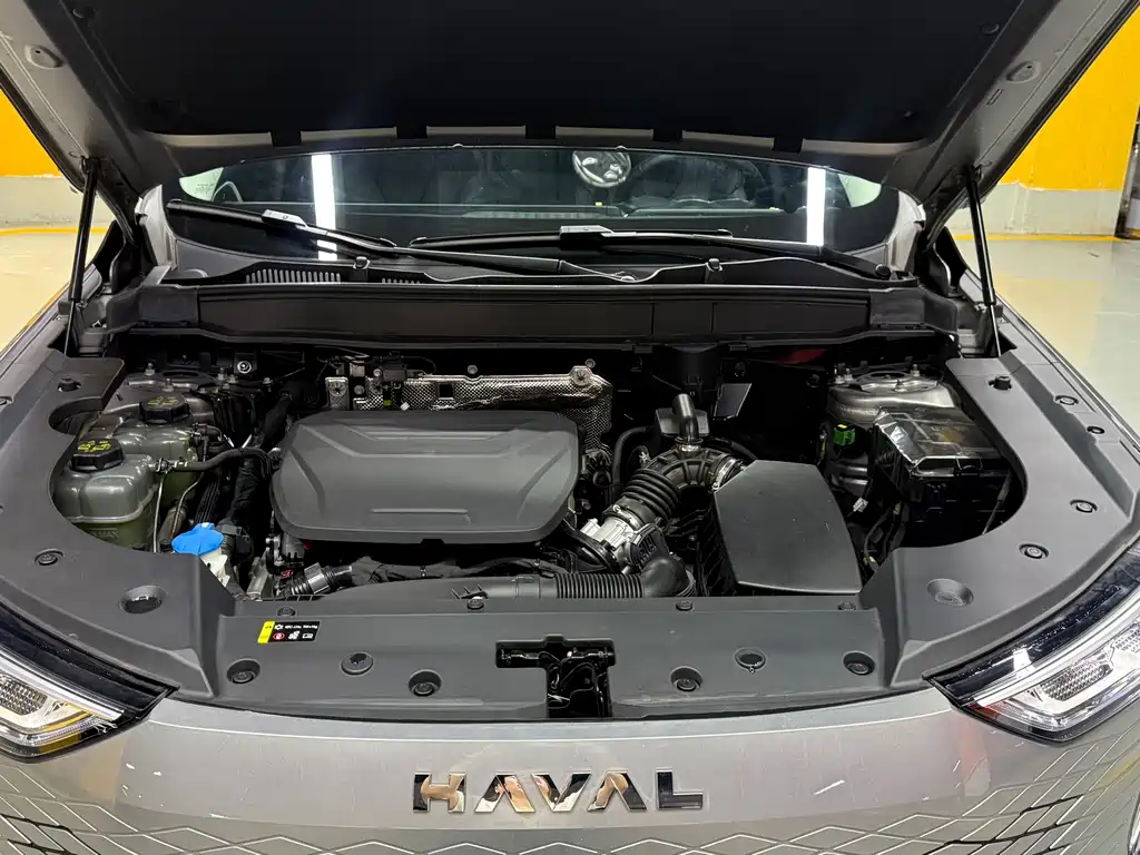 Haval Xiaolong MAX — миниатюра 24