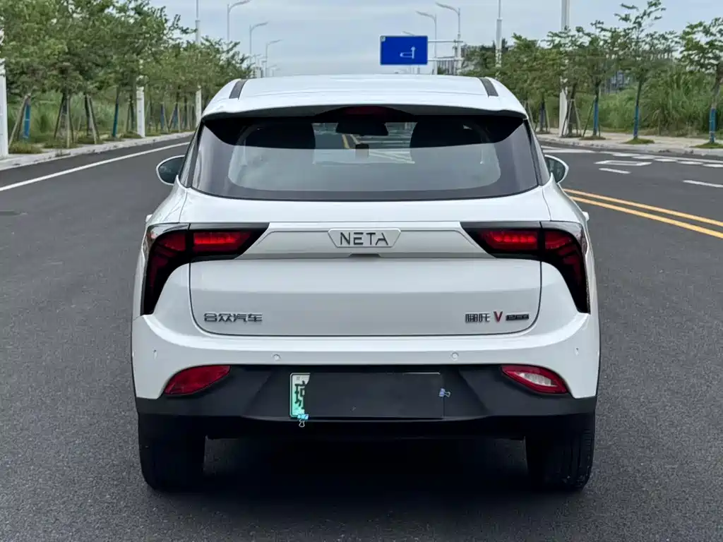 Neta Neta V — миниатюра 5