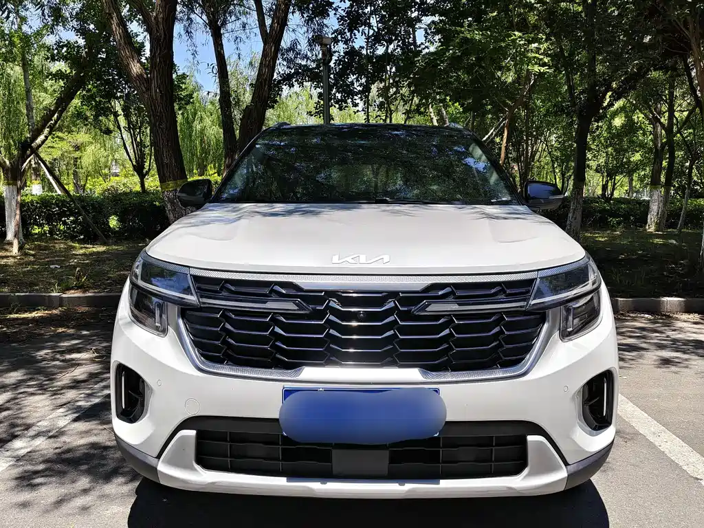 Kia Seltos 2023 1.5L CVT Luxury