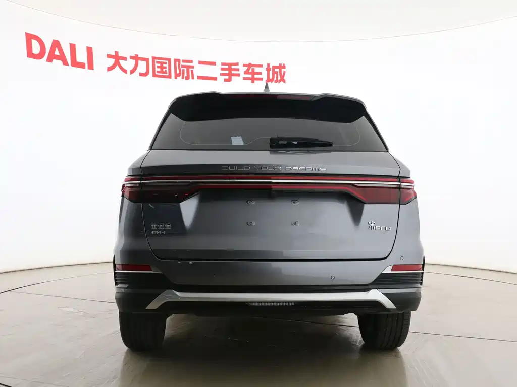 BYD Pro New Energy — миниатюра 14