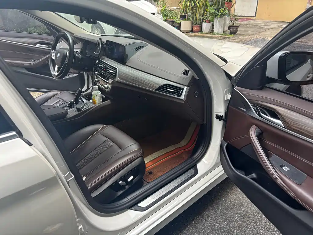 BMW 5 Series 5 2020 530Li Lead Luxury