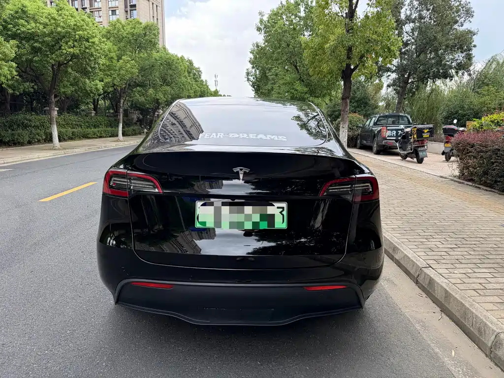 Tesla Model Y — миниатюра 17