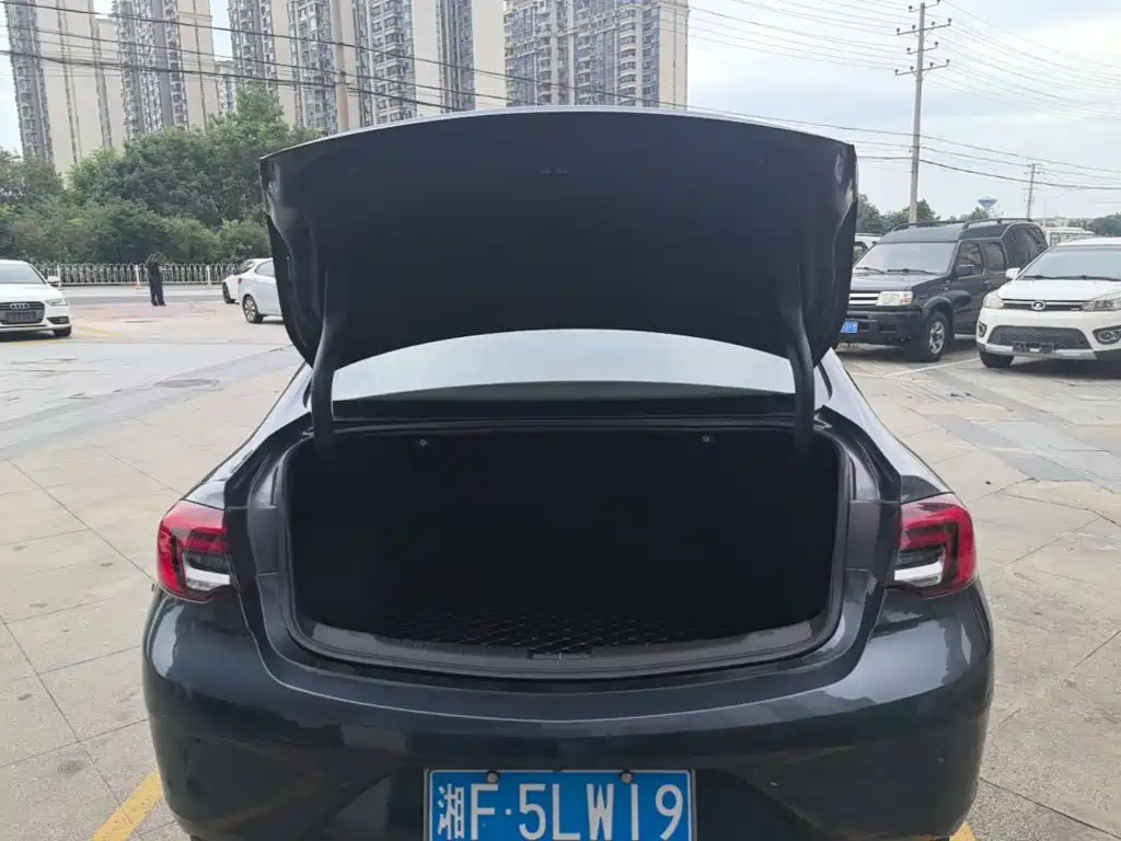 Buick Regal — миниатюра 19