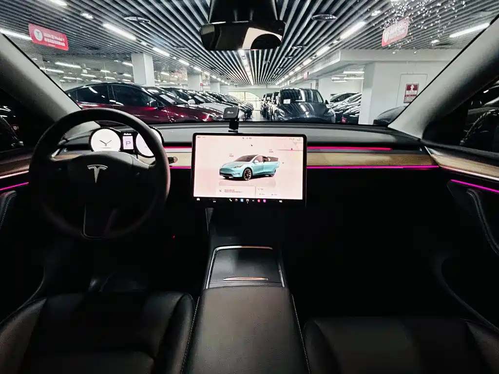 Tesla Model Y — миниатюра 7