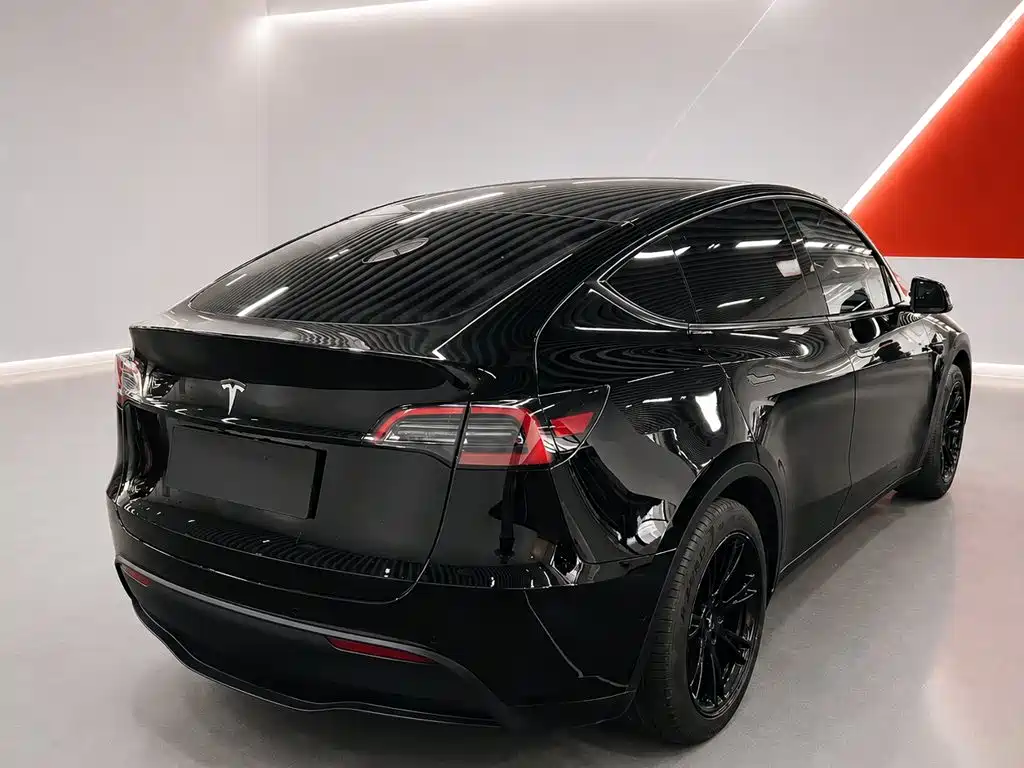 Tesla Model Y — миниатюра 6