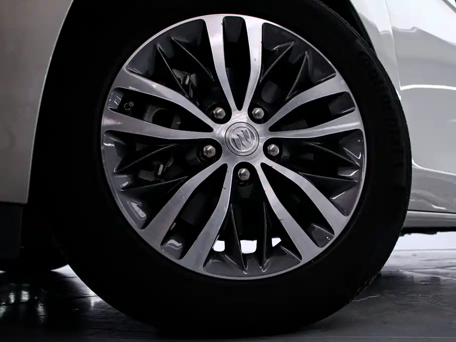 Buick GL8 — миниатюра 16