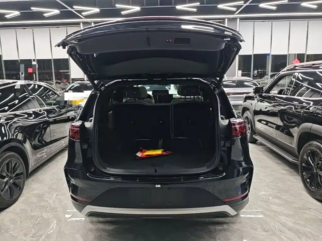 BYD Tang New Energy — миниатюра 19