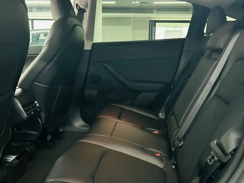 Tesla Model Y — миниатюра 8
