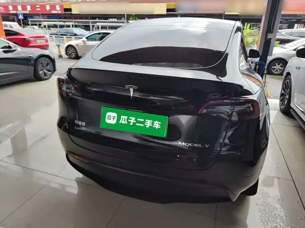 Tesla Model Y — миниатюра 6