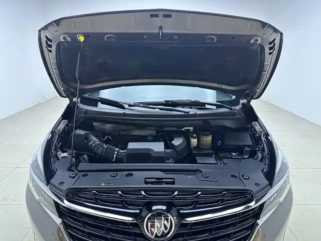 Buick GL8 — миниатюра 17