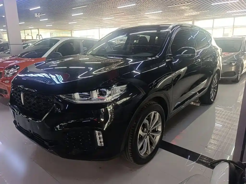 Wey Wey VV6 — миниатюра 2