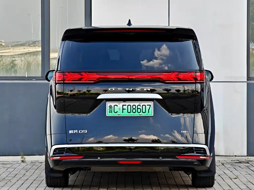Denza Denza D9 — миниатюра 5