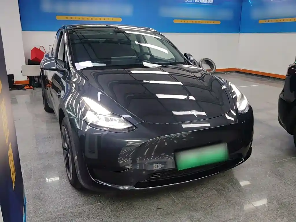 Tesla Model Y — миниатюра 4