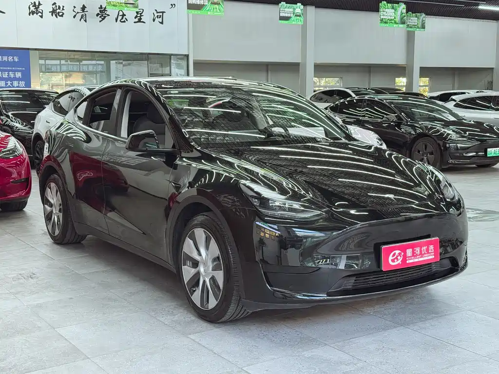 Tesla Model Y — миниатюра 3